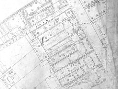 A black-and-white large-scale map excerpt showing individual houses with details of paths and plants in the gardens.