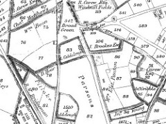 A black and white hand-drawn map showing numbered plots of land, some of which are also annotated with names of people and places including “A. Caldcleugh”, “Mrs Eliz. Panton”, “R. Carew Esq.”, “Broad Green” and “Pitlake”.