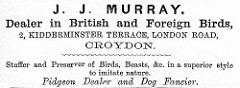 Advert for a “Dealer in British and Foreign Birds” at 2 Kidderminster Terrace.